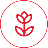 FLORÍCOLAS